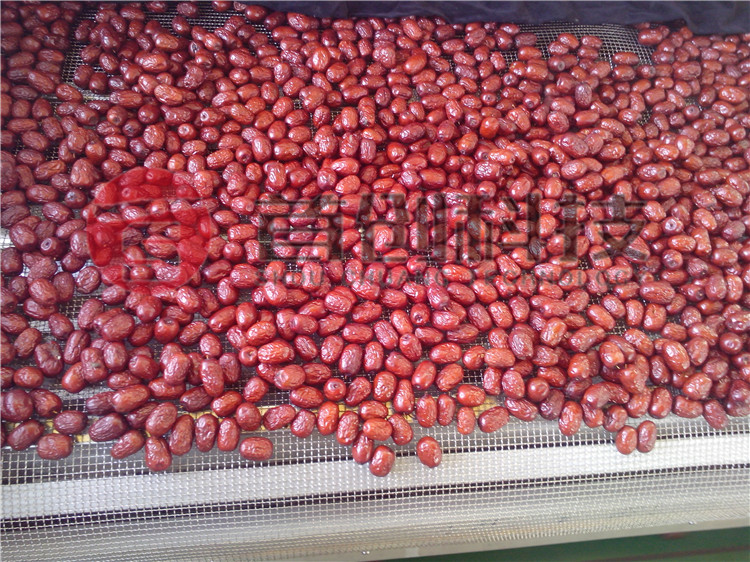 紅棗烘干機價格.jpg