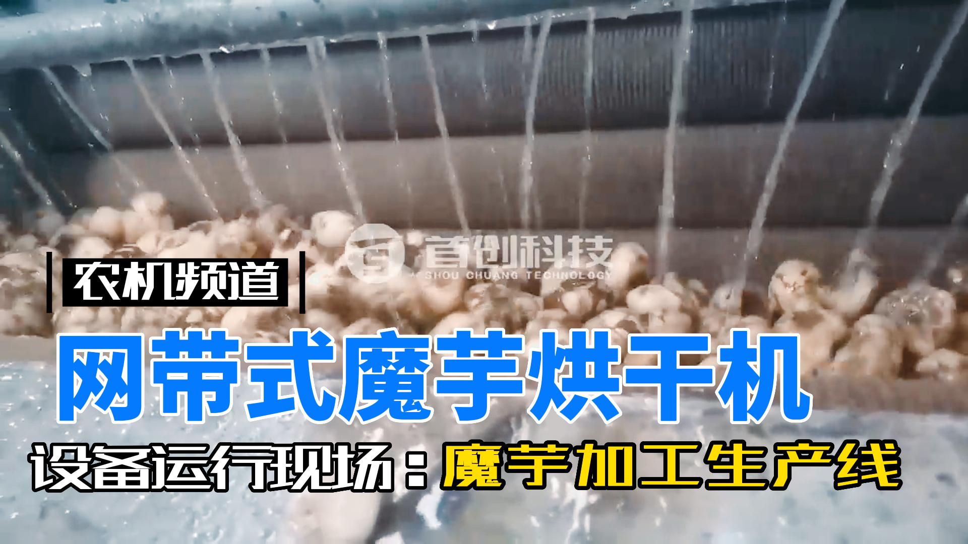 連續(xù)式魔芋烘干設備.jpg